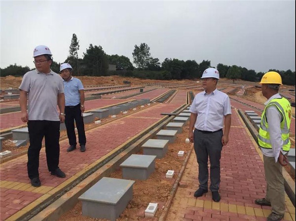 1544062031802937.jpg 23.jpg