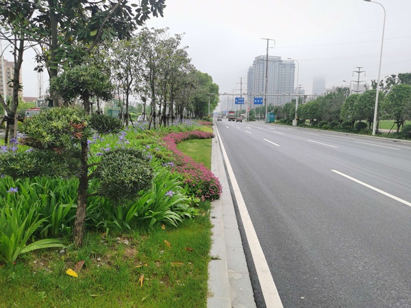 1619505722195449.jpg 市優(yōu)工程專(zhuān)家組蒞臨昌東大道檢查評(píng)審6003.jpg