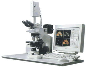 日本尼康 研究用激光共焦显微镜 CI 图像深度 12bits 国产 进口 品牌 激光共聚焦显微镜 技术参数 价格 报价表